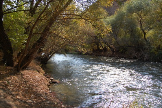 The Arpa river.